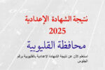 نتيجه الشهادة الاعدادية محافظة القليوبية