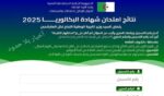 نتائج شهادة البكالوريا 2025
